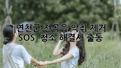 🏡 연천군 전곡읍 악취 제거 SOS! 💨 청소 해결사 출동!