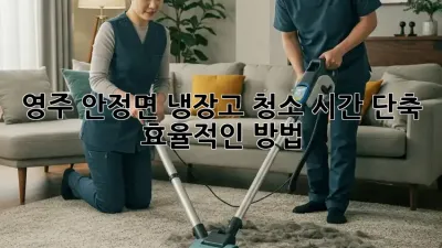 영주 안정면 냉장고 청소: 시간 단축 & 효율적인 방법
